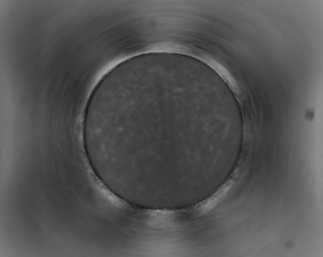 X0000102030854200808081810