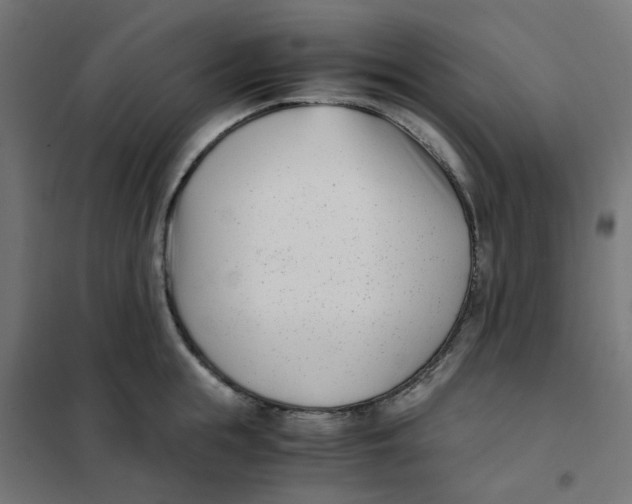 X0000102030855200808081810