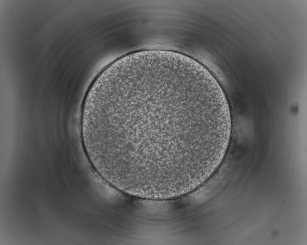 X0000102030856200808081810