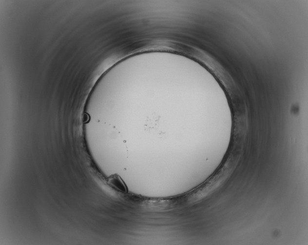 X0000102030858200808081810