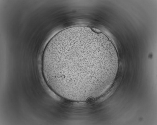 X0000102030859200808081810