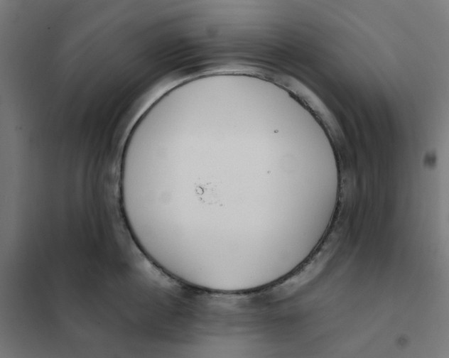 X0000102030860200808081810