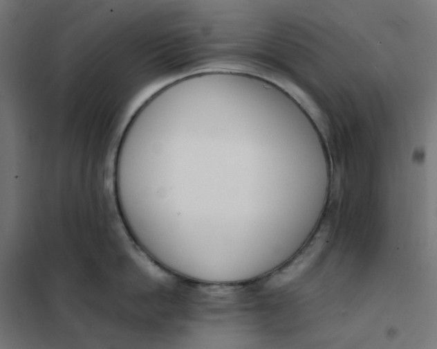 X0000102030862200808081810