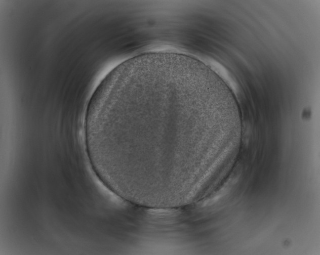 X0000102030863200808081810