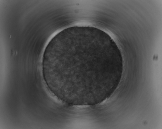 X0000102030864200808081810