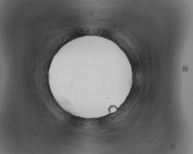 X0000102030865200808081809