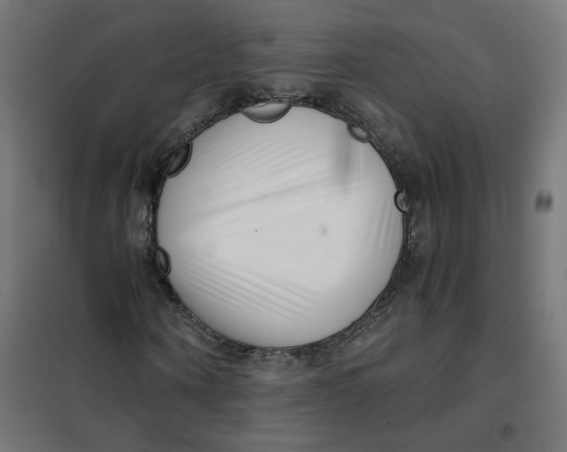 X0000102030866200808081809