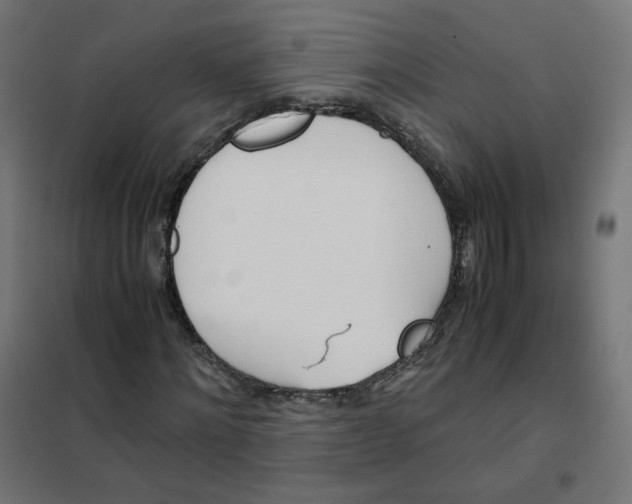 X0000102030868200808081809