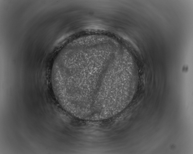 X0000102030870200808081809