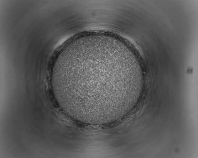 X0000102030871200808081809