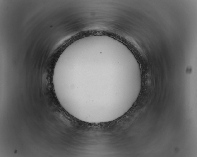 X0000102030872200808081809