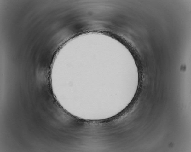 X0000102030873200808081809