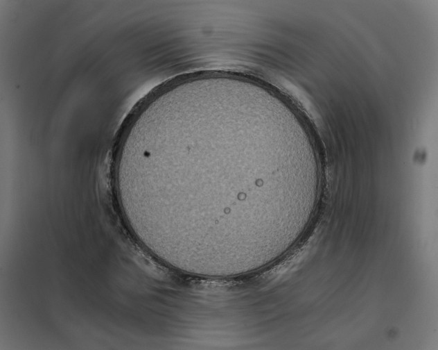 X0000102030875200808081809