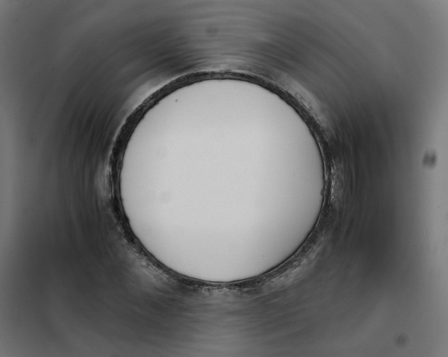 X0000102030876200808081809