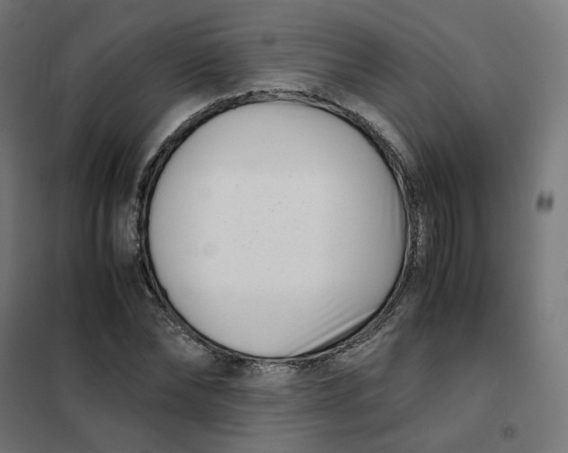 X0000102030878200808081809