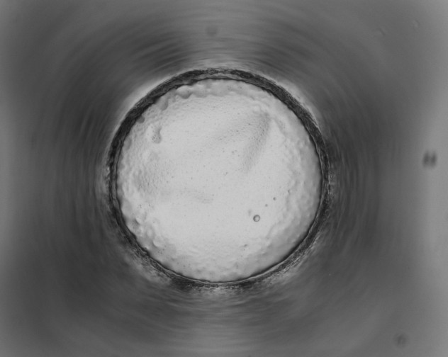 X0000102030879200808081809