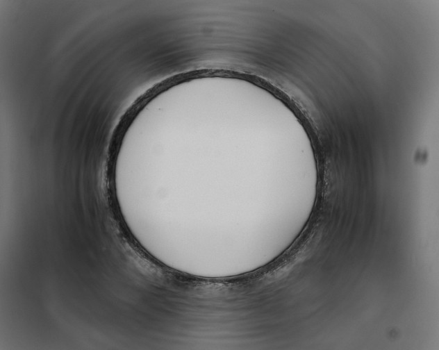 X0000102030880200808081809