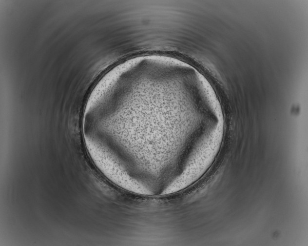 X0000102030881200808081809