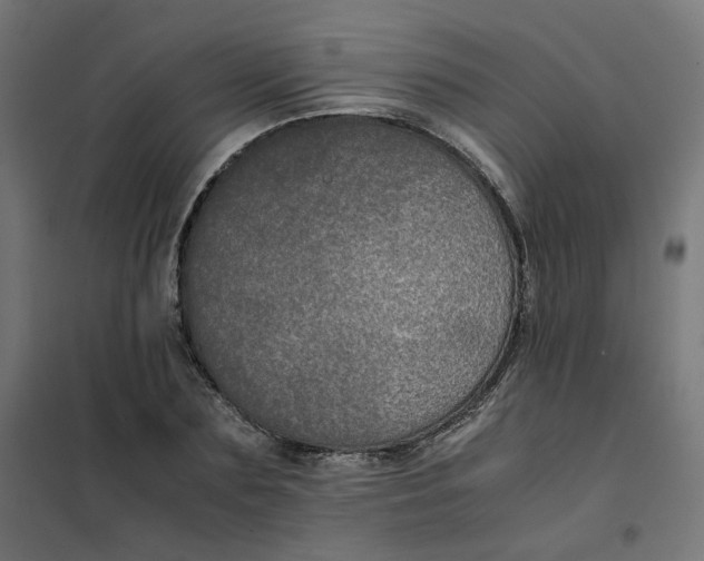 X0000102030883200808081809