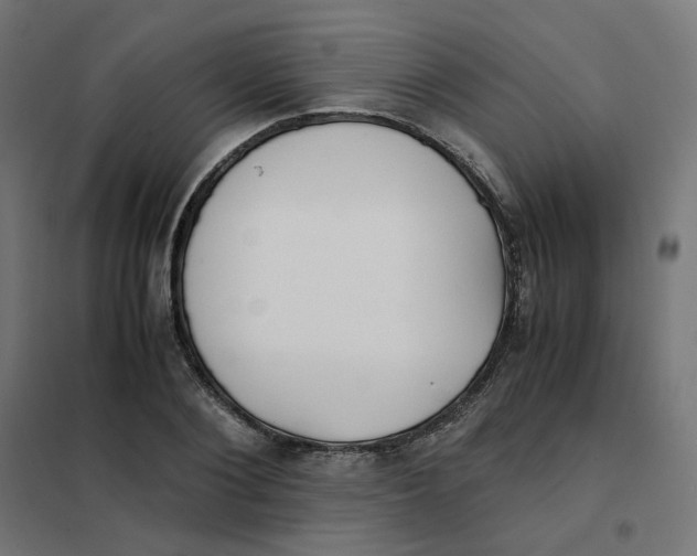 X0000102030884200808081809