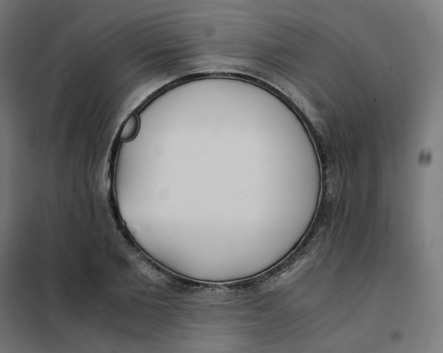 X0000102030885200808081809