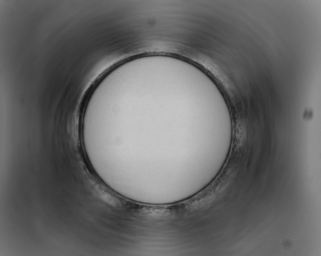 X0000102030886200808081809