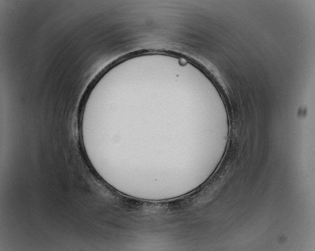 X0000102030887200808081809