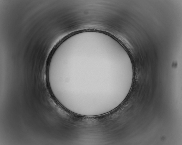 X0000102030888200808081809