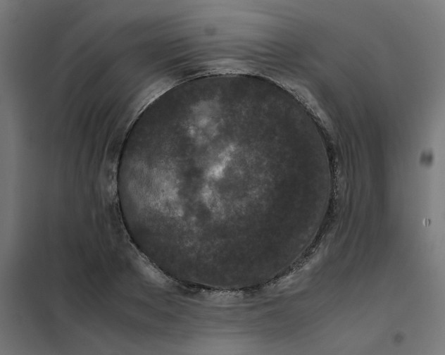 X0000102030889200808081809