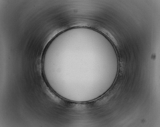 X0000102030890200808081809