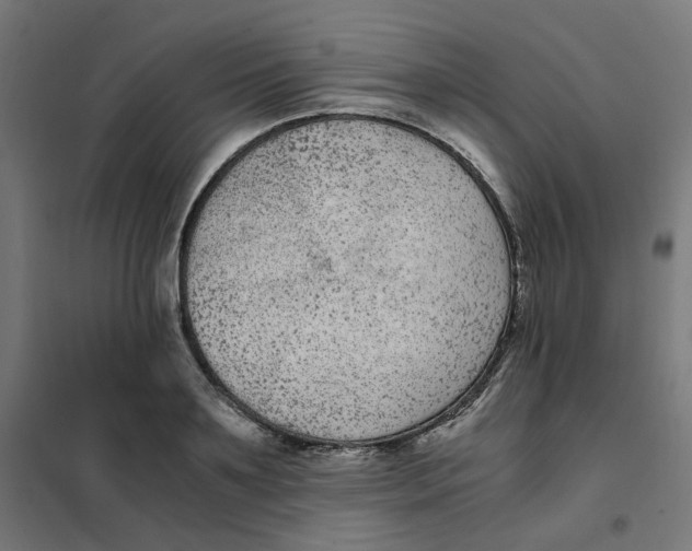 X0000102030891200808081809