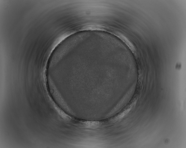 X0000102030893200808081809