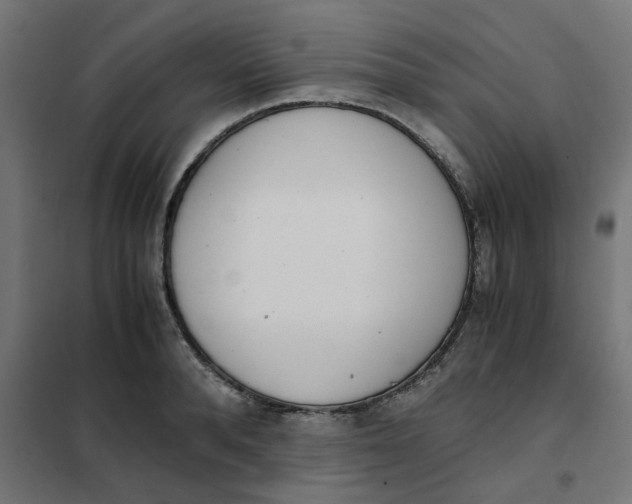 X0000102030896200808081809