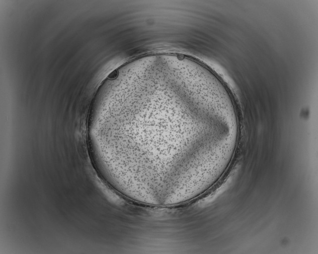 X0000102030897200808081809