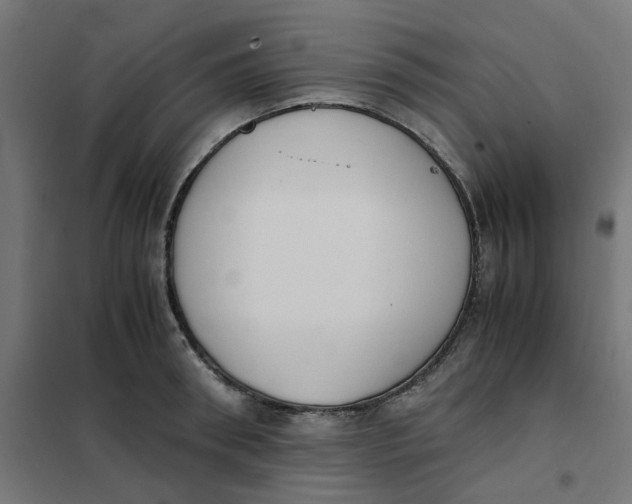 X0000102030898200808081809