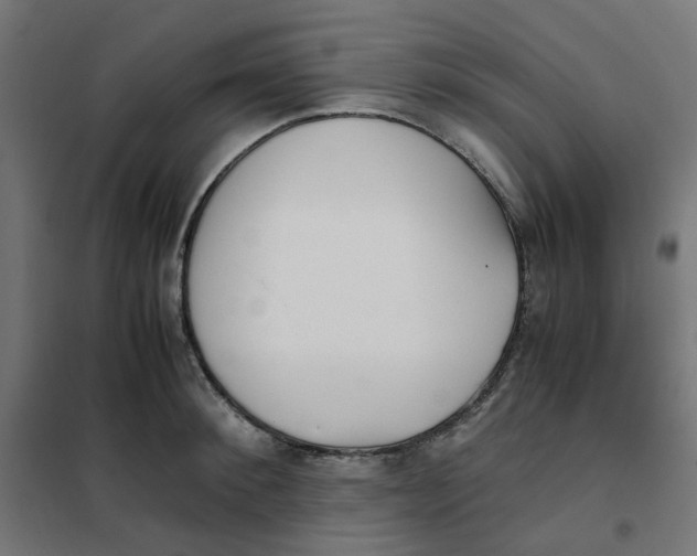 X0000102030900200808081809