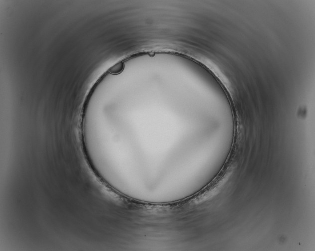 X0000102030901200808081809