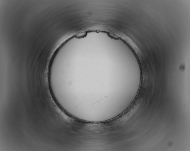 X0000102030902200808081809