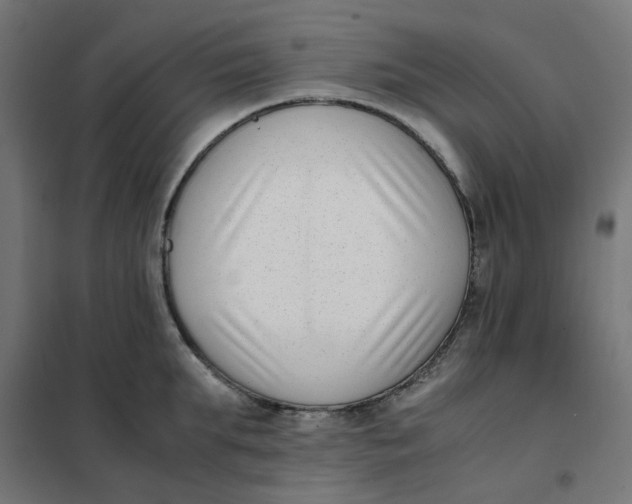 X0000102030903200808081809