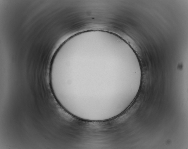 X0000102030904200808081809