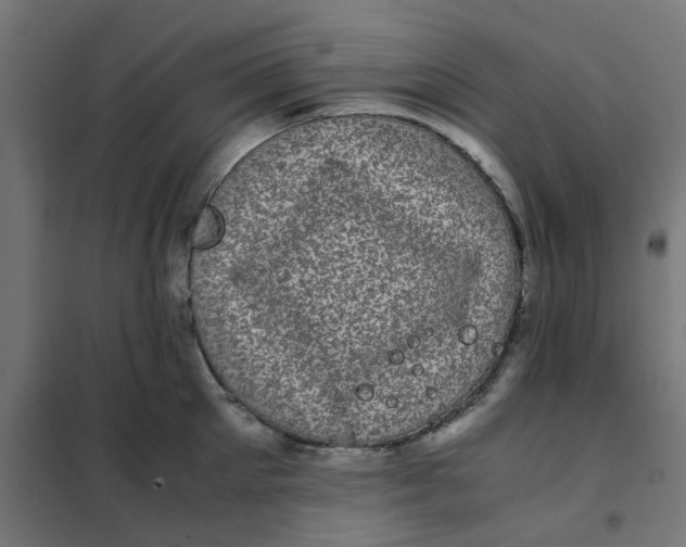 X0000102030905200808081809