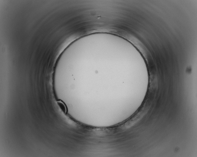 X0000102030906200808081809