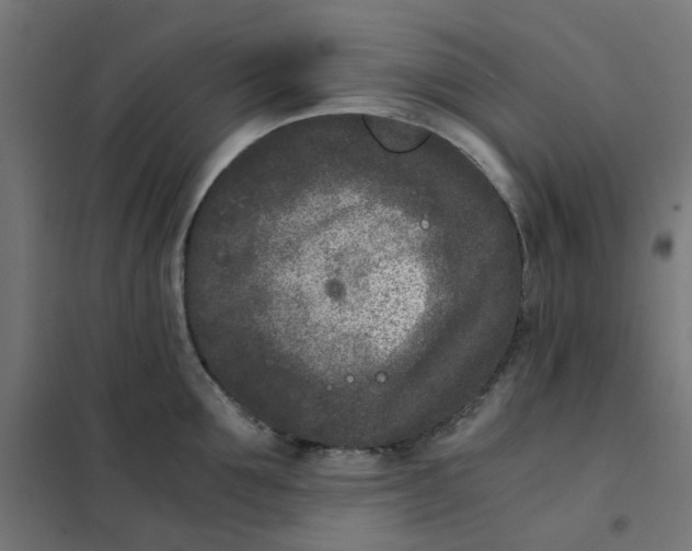 X0000102030907200808081809