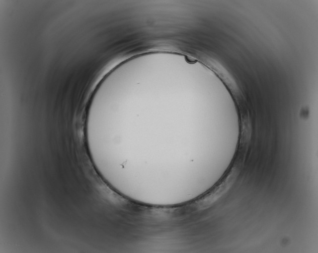 X0000102030908200808081809