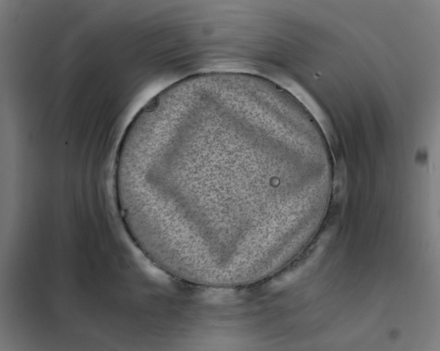 X0000102030909200808081809