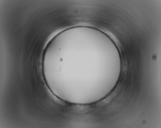 X0000102030910200808081809