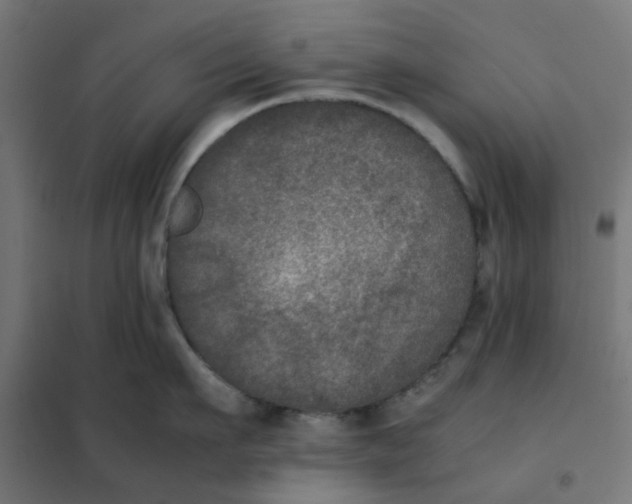 X0000102030911200808081809