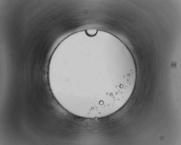 X0000102030912200808081809