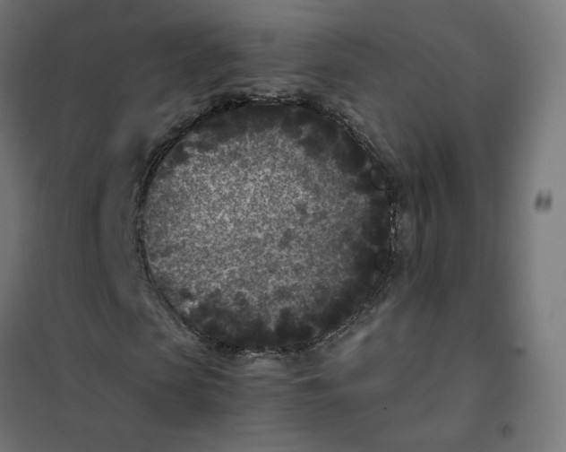 X0000102030913200808081808