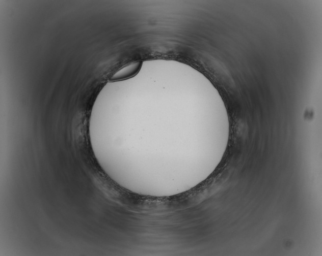 X0000102030914200808081808